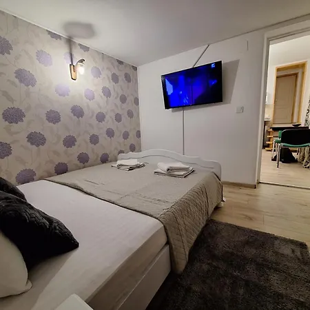 Ris Piata Romana Πανσιόν Βουκουρέστι