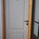 Ris Piata Romana Bucareste