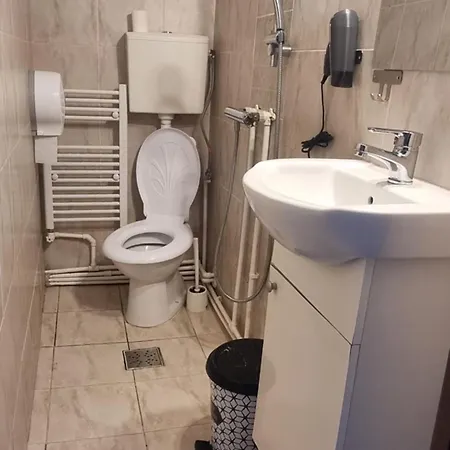 Penzion Ris Piata Romana Bukurešť