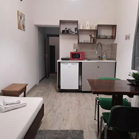 Penzion Ris Piata Romana Bukurešť