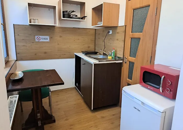 Ris Piata Romana Gasthuis